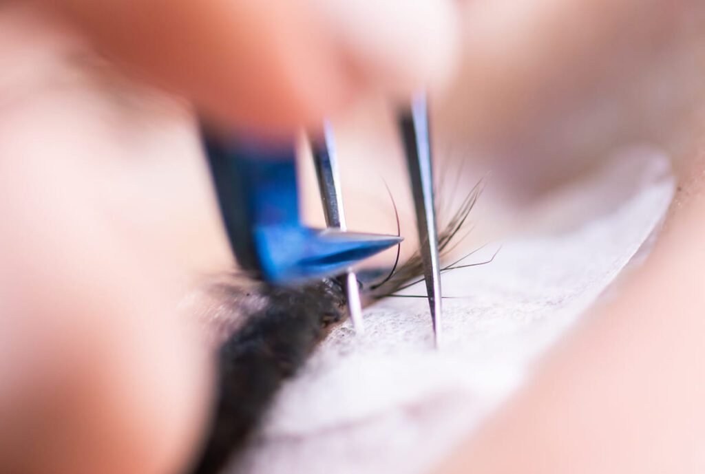 Análisis de la superficie de la pestaña natural para asegurar una óptima retención de las extensiones de pestañas.