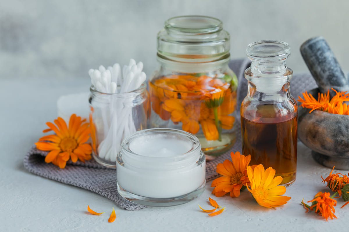 Imagen destacada de “Fitoingredientes en cosmética: qué son y cuáles son los más usados”