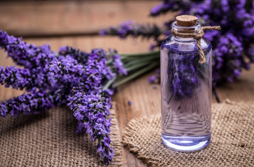 Cuántos tipos de aceites esenciales hay lavanda