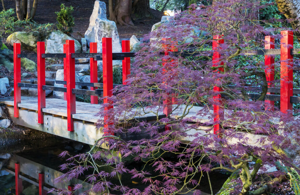 El embalsamamiento en la cultura japonesa y china